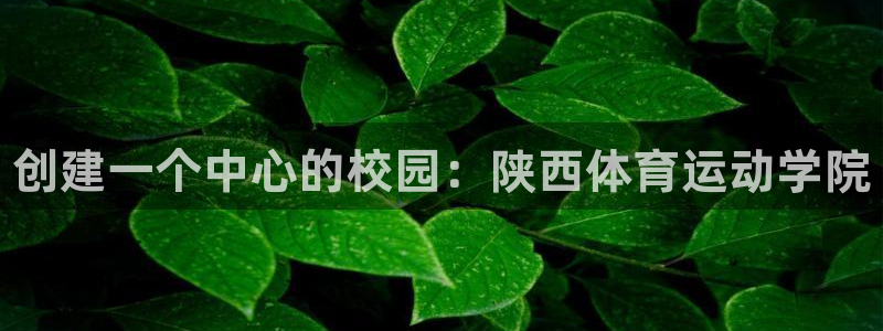 3377体育官网下载平台注册流程图：创建一个中心的校