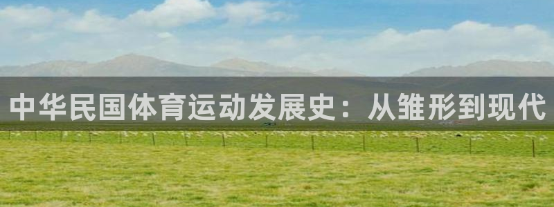 3377体育官方集团官网