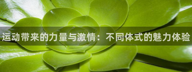 3377体育官网下载开户：运动带来的力量与激情：不同