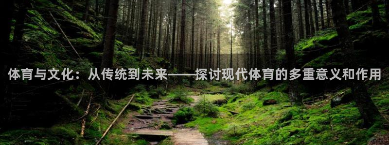 3377体育官方正版app官方：体育与文化：从传统到