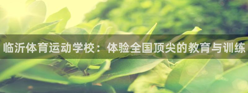 3377体育官网下载招商电话地址查询：临沂体育运动学