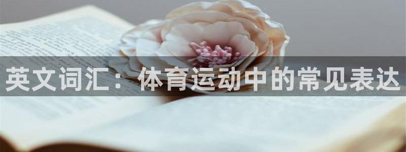 海南3377体育官网下载发展怎么样：英文词汇：体育运