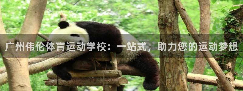 3377体育官方平台体育：广州伟伦体育运动学校：一站