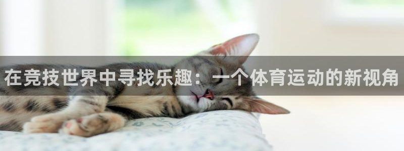 3377体育官网下载软件：在竞技世界中寻找乐趣：一个体育运动