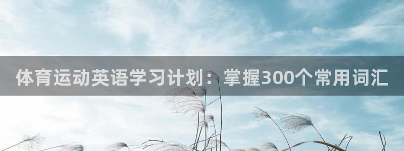 3377体育官网下载招商：体育运动英语学习计划：掌握300个