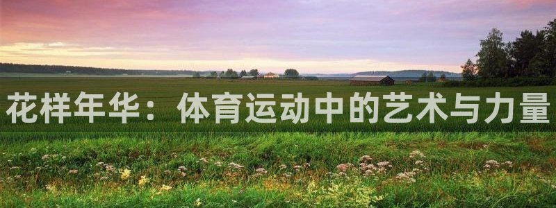 3377体育官方正版app集团简介：花样年华：体育运动中的艺
