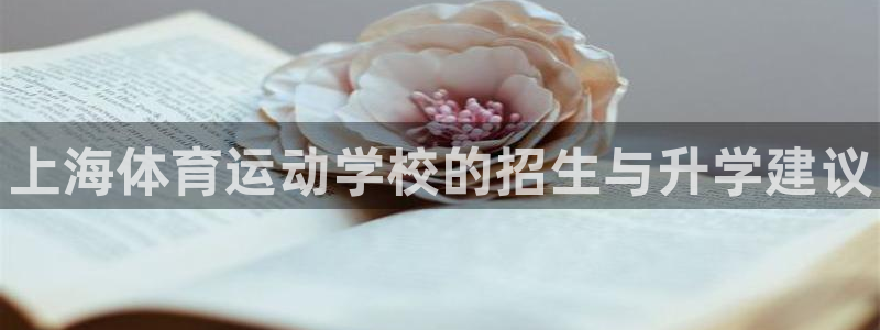 3377体育官方正版app新能源：上海体育运动学校的招生与升