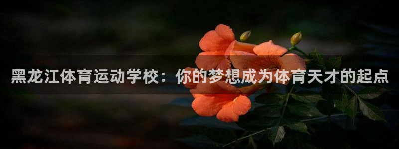 3377体育官方正版app新能源：黑龙江体育运动学校
