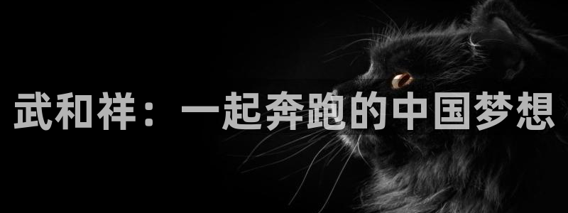 海南3377体育官网下载：武和祥：一起奔跑的中国梦想