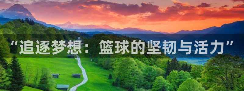 3377体育官网下载平台注册要钱吗：“追逐梦想：篮球