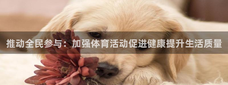 3377体育官方正版app官网：推动全民参与：加强体