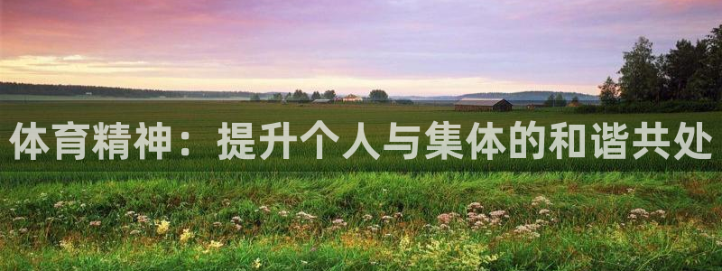 3377体育官网下载注册：体育精神：提升个人与集体的和谐共处