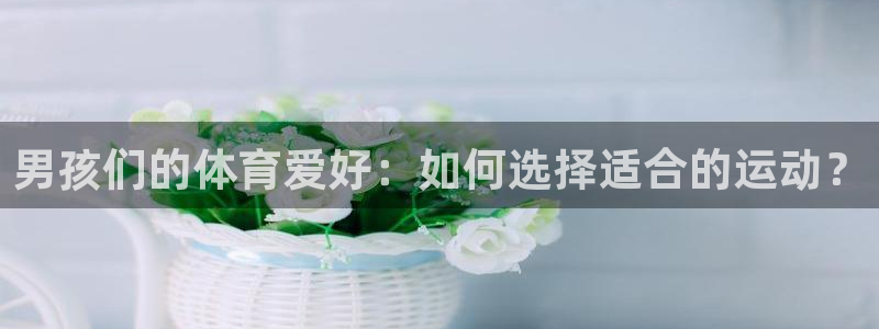 3377体育是干嘛的