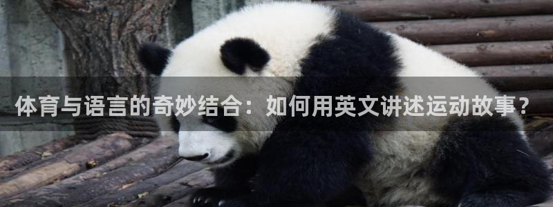 3377体育出款正常不