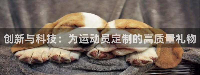 3377体育犯法吗：创新与科技：为运