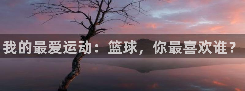 3377体育属于国家打击范围吗：我的最爱运动：篮球，你最喜欢