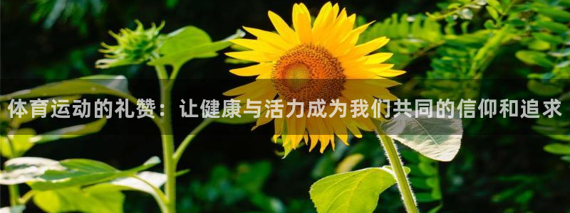 3377体育是干嘛的：体育运动的礼赞：让健康与活力成为我们共
