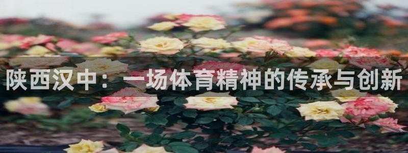  3377体育在哪个国家运营：陕西汉中：一场体育精神的传承与创