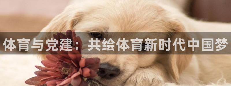 3377体育app属不属于病毒应用：
