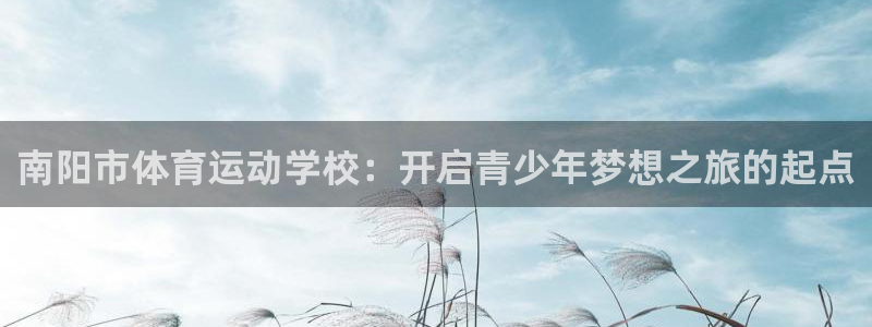 3377体育是什么：南阳市体育运动学校：开启青少年梦想之旅的