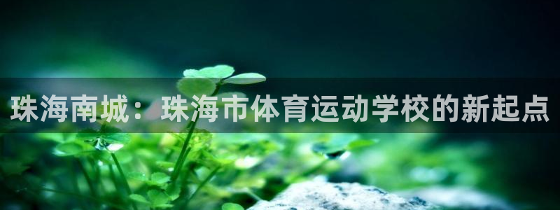 3377体育犯法吗：珠海南城：珠海市