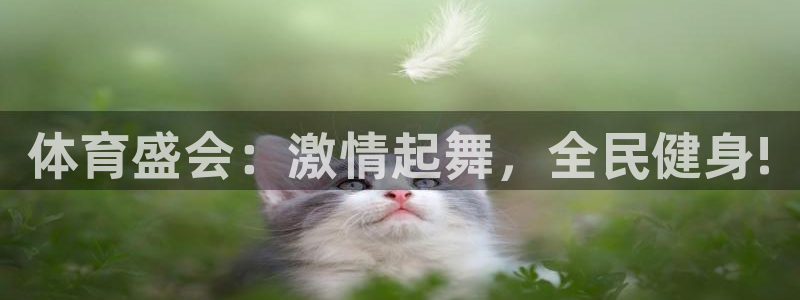 3377体育骗了多少人