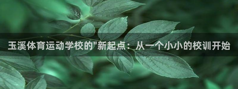 3377体育不出款