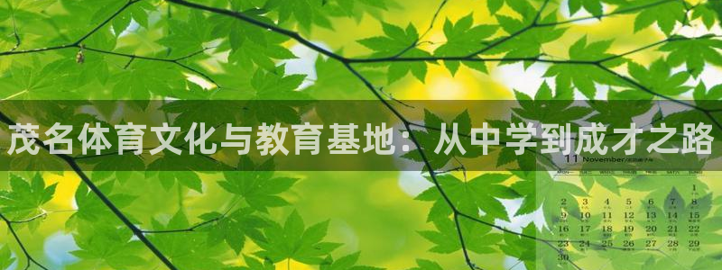 3377体育官方正版app神州：茂名体育文化与教育基