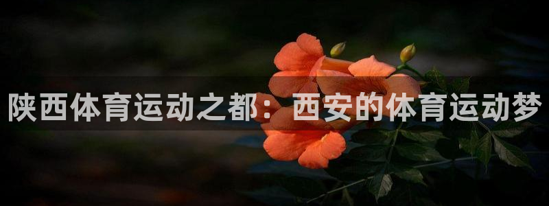 3377体育官网下载平台注册要钱吗：陕西体育运动之都