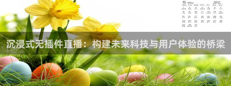 河豚体育直播在线观看：沉浸式无插件直播：构建未来科技与用户体验的桥梁