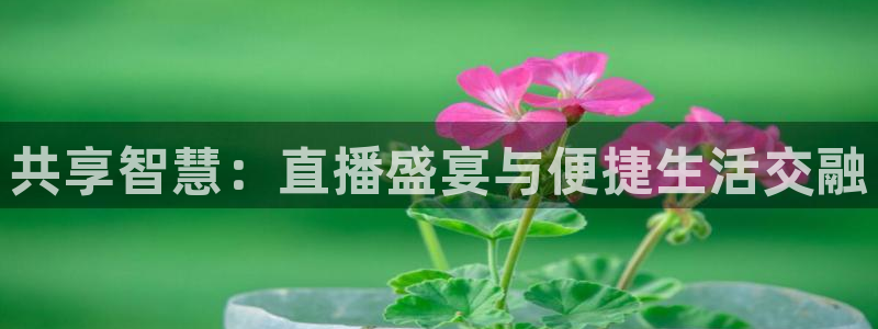 河豚体育nba直播：共享智慧：直播盛宴与便捷生活交融