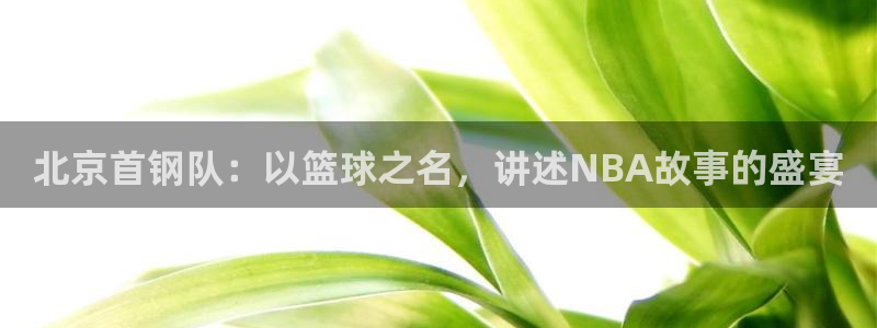河豚tv直播：北京首钢队：以篮球之名，讲述NBA故事的盛宴