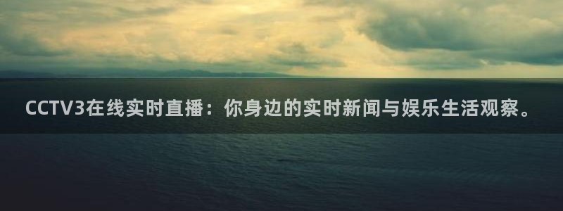 河豚的直播网：CCTV3在线实时直播：你身边的实时新闻与娱乐生活观察。