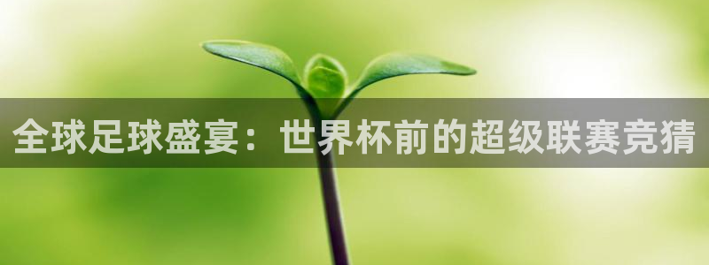 河豚体育在线直播：全球足球盛宴：世界杯前的超级联赛竞猜