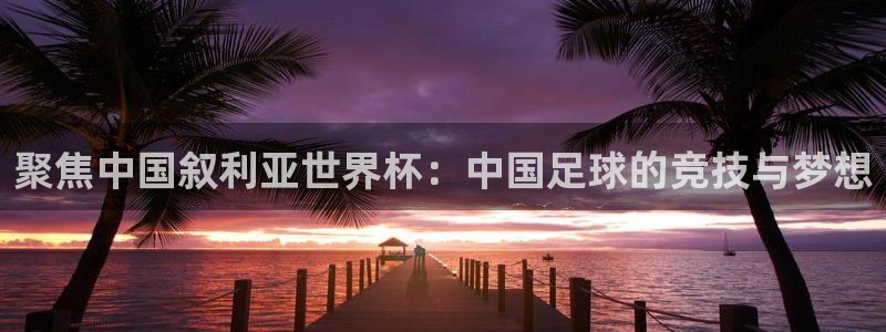 nba河豚体育直播：聚焦中国叙利亚世界杯：中国足球的竞技与梦想